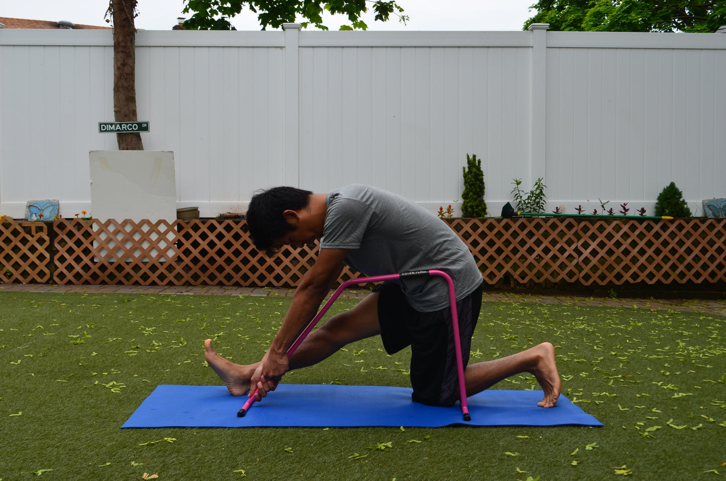 Pink Shape Stretch - Body Stretch Bar & Poster